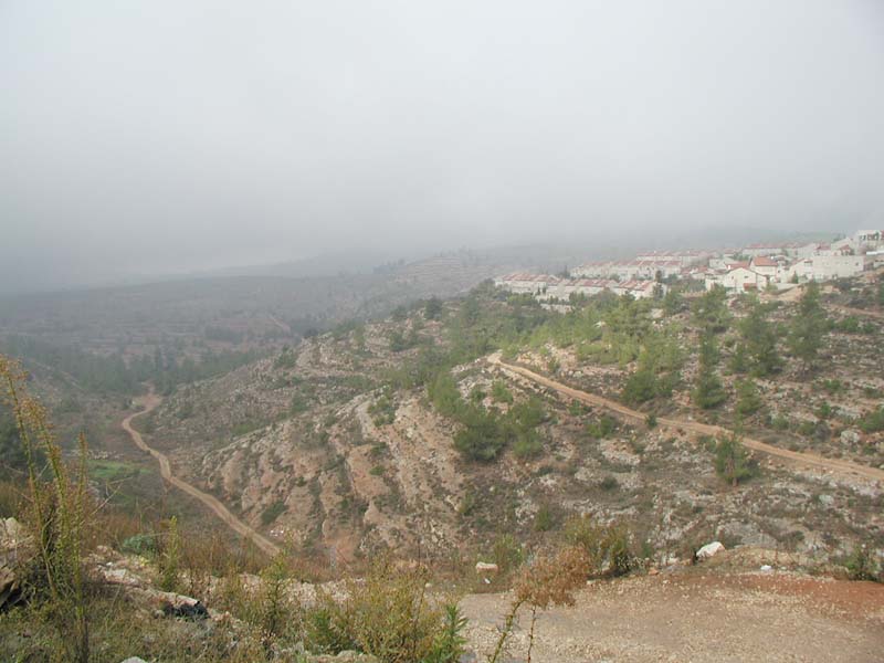 pc010017.jpg